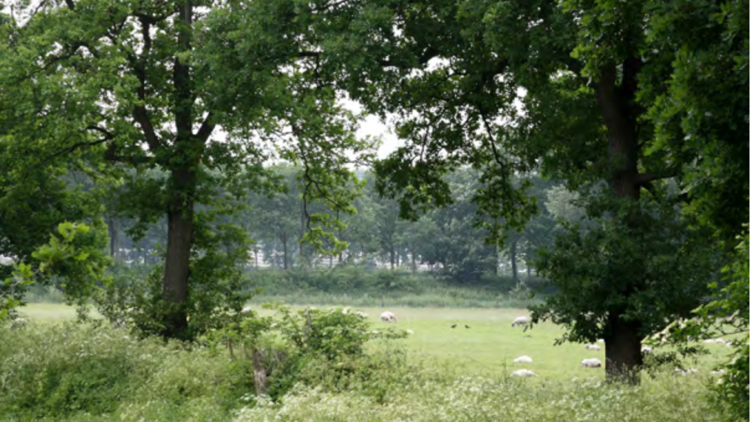 Landschapszone Malden Noord