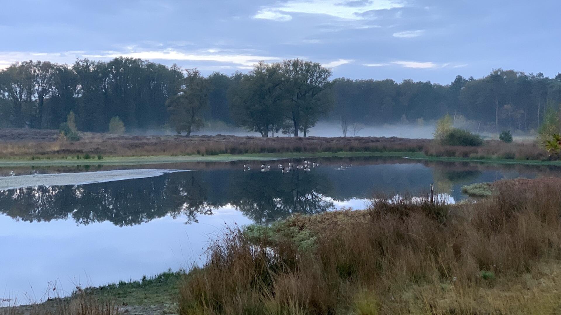 Overasseltse en Hatertse vennen